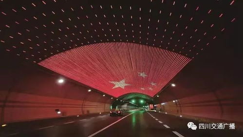 伍珂玥为什么退出娱乐圈（伍珂玥为什么会输）