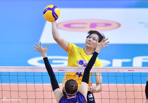 日本vs亚洲vs韩（日本vs亚洲vs韩国观看条件）