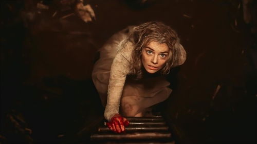 美国恐怖电影全部（美国恐怖电影全部蜘蛛）