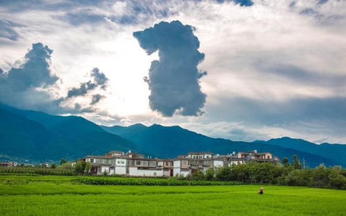 去有风的地方在云南哪里拍摄（去有风的地方）