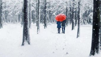 长津湖免费观看完整版高清下载（长津湖正版高清免费观看）