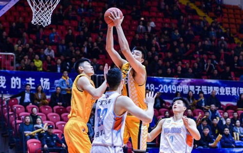 中央体育5直播篮球（中央5体育直播篮球cba直播）