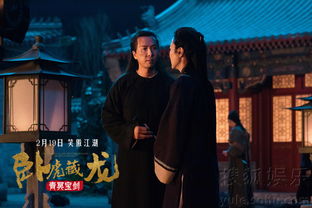 卧虎藏龙（卧虎藏龙电影）