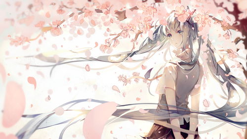 9277动漫在线观看免费（227在线观看动漫）