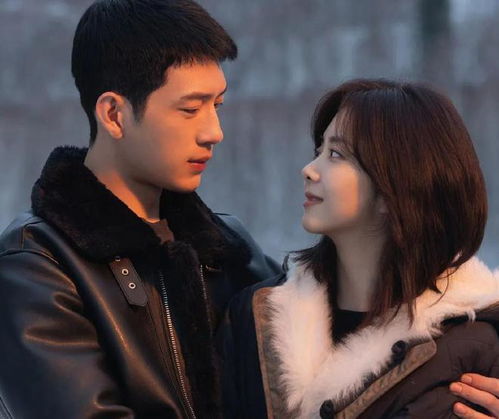 电视剧在线观看全集（归路电视剧在线观看全集）