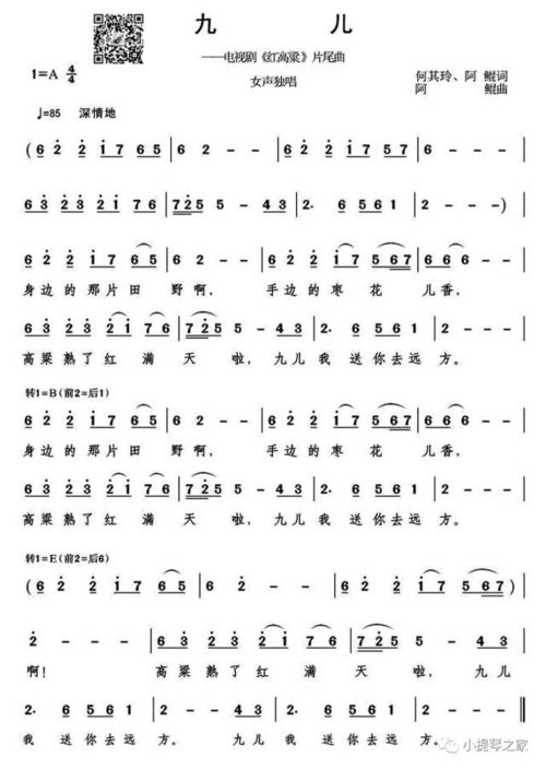 九儿简谱（韩红九儿简谱）