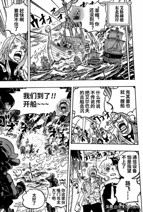 海贼王免费观看完整版在线观看（海贼王免费观看完整版在线观看星辰影院）