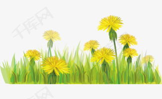 野花高清完整在线观看免费（野花高清在线观看免费动漫播放）