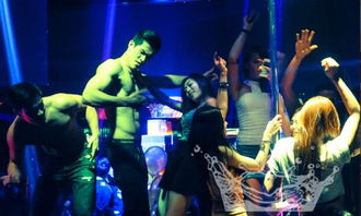 喜爱夜蒲歌名（喜爱夜蒲的歌是什么）