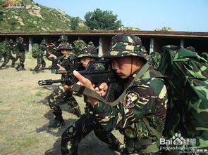 爱上特种兵电视剧（爱上特种兵电视剧百度网盘）