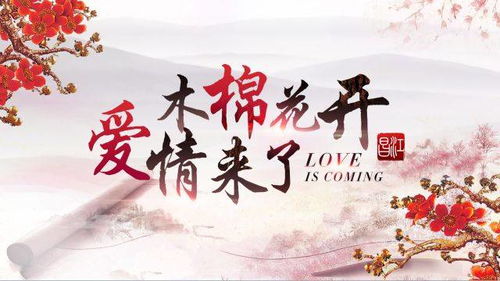 婚开二度欣欣向荣小说（婚开二度欣欣向荣52书库）