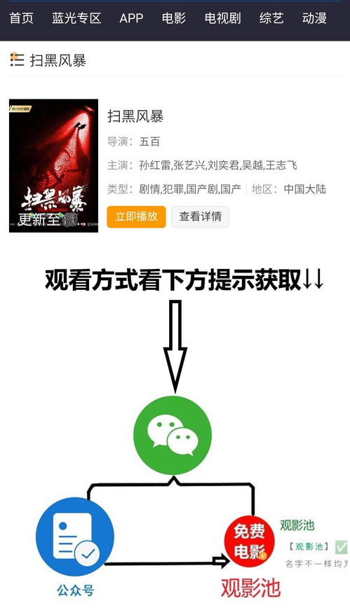 成全高清在线观看免费新浪（成全高清在线观看免费新浪双色球开奖结果）