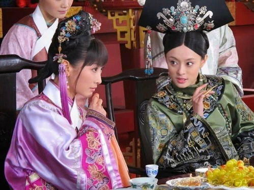 甄嬛传电视剧全集免费版（甄嬛传电视剧免费版全集观看）