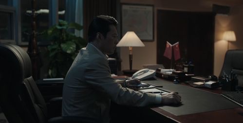 扫黑风暴28全集完整版（扫黑风暴全集完整版解说）