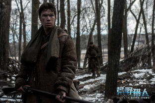 荒野猎人(荒野猎人电影) 荒野猎人(荒野猎人电影)