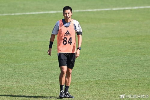 美国vs威尔士直播在线观看（美国 vs）