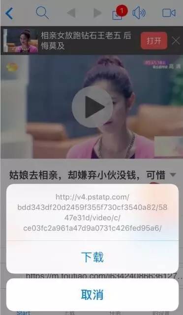 青苹果乐园全网影视大全下载（青苹果乐园影视剧）