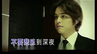 狂野的爱（狂野的爱讲的是啥）