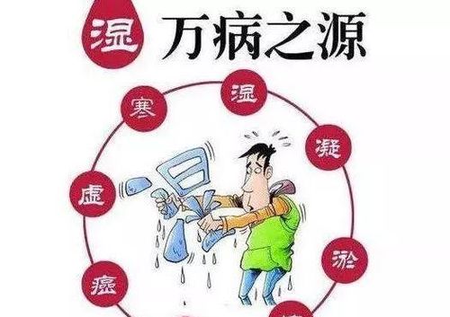 一碰就湿是属于什么体质（一碰就湿是属于什么体质图片）