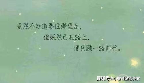 最透彻的人生感悟（陶矜最透彻的人生感悟）