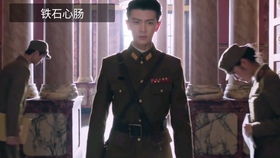 黑狐电视剧全集（黑狐电视剧全集在线观看免费）