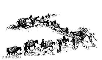 奔跑吧茶马古道篇免费观看(奔跑吧茶马古道篇免费观看2025) 奔跑吧茶马古道篇免费观看(奔跑吧茶马古道篇免费观看2025)