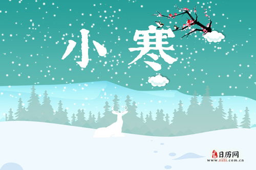 拾欢（拾欢什么意思）