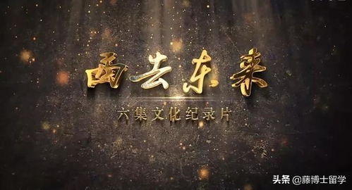 人生必看10部纪录片（中国10部顶级纪录片）