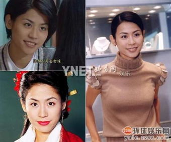 女明星们的按摩师免费阅读（女明星的往事）