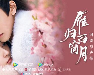 月光在线观看免费（月光电视剧免费观看）