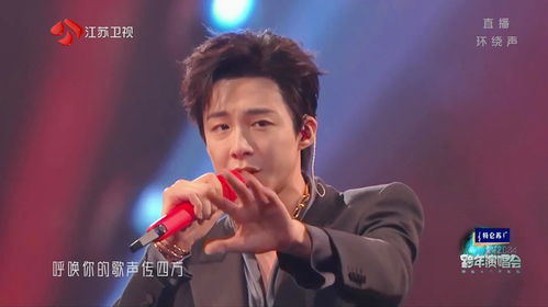 刘宇2025年演唱会（刘宇2025演唱会门票官网）