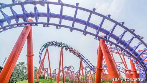 13部经典阿富汗战争电影（13部经典阿富汗战争电影鬣狗之旅在线观看）