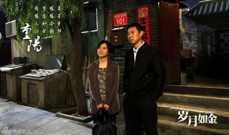 电视剧岁月如金（电视剧岁月如金大结局）