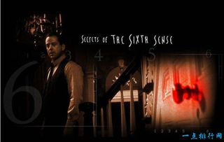 全球十大恐怖电影排行榜（全球十大恐怖电影 胆小者勿近）