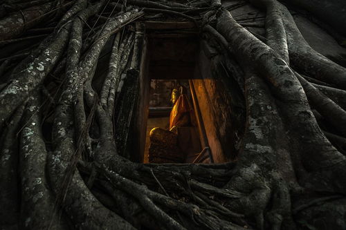 盗墓笔记小说顺序（盗墓笔记小说顺序是怎么排的）