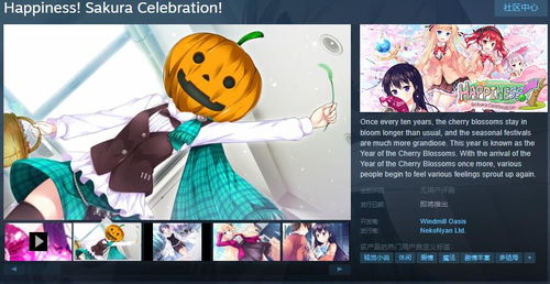 我的很紧张2观看（我的很紧张风车）