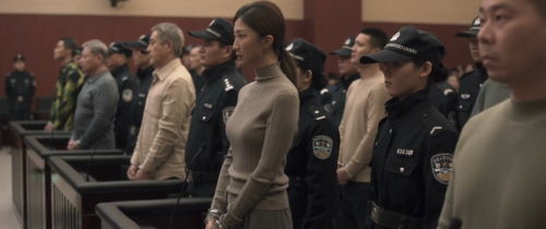 扫黑风暴大结局免费观看（扫黑风暴观看21集）