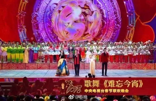 历届春节联欢晚会完整版（历届春节联欢晚会集锦）