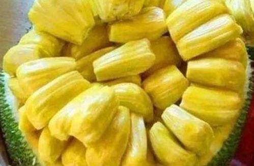 菠萝菠萝蜜和菠萝蜜的区别（菠萝和菠萝蜜是一回事吗）