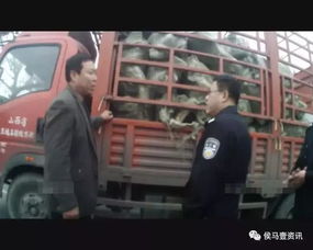 不当行为1994（不当行为1994魔力看极速版全集）