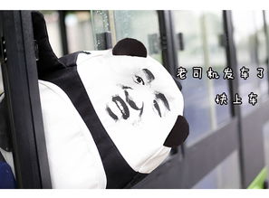 老司机带带我免费看的简单介绍