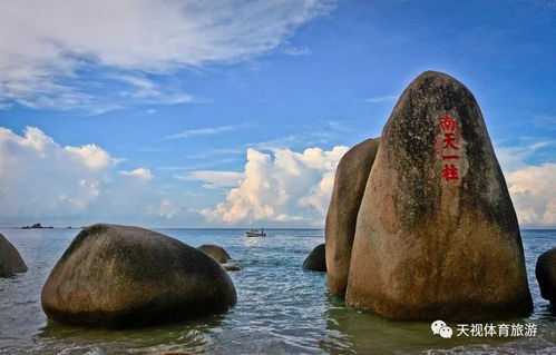 2024海角官网在线观看人数更新时间（小说海角）