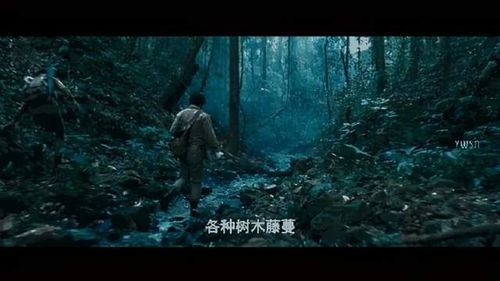 云南虫谷电视剧在线观看（云南虫谷电视剧在线观看超清）