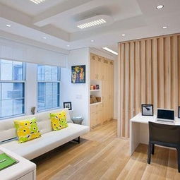 单身公寓（单身公寓设计图效果图）