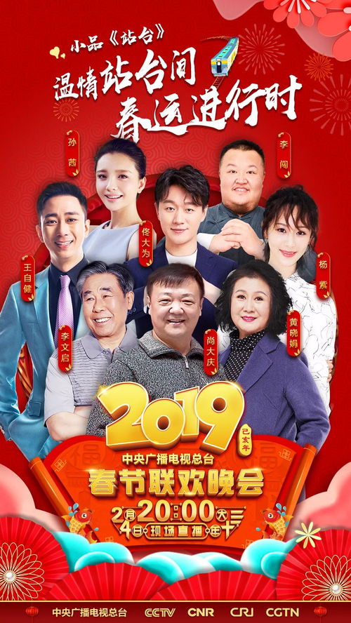 2019央视春晚（2019央视春晚节目单）