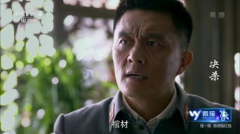 绝杀电视剧全集在线观看（决杀140集免费观看）