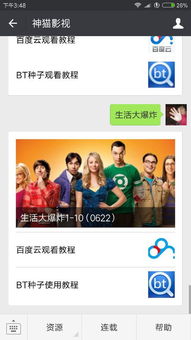 生活大爆炸第十一季（生活大爆炸第十一季人人视频）