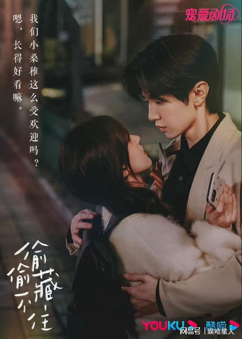 偷偷藏不住40集免费（偷偷藏不住电视剧）