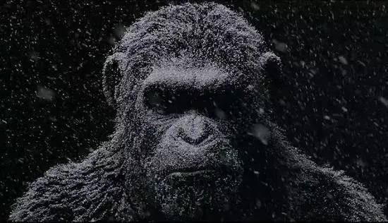 猩球崛起3结局（猩球崛起3结局人类灭亡了吗）