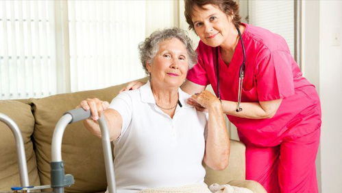 家政保姆（家政保姆的特殊待遇2）